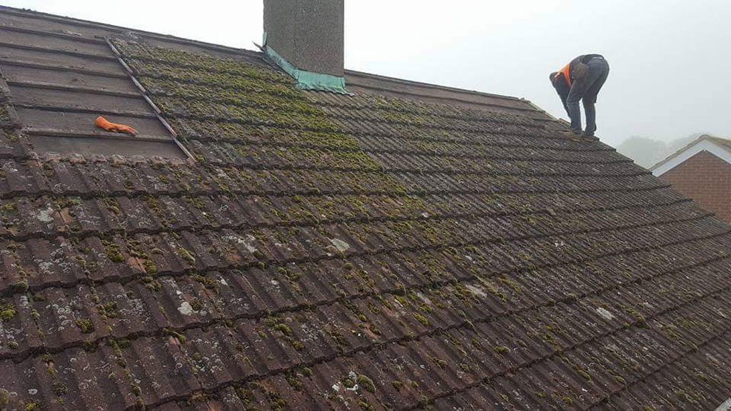 A person is working on a moss-covered roof, wearing an orange safety vest. The roof shows a clear distinction between the mossy area and a cleaner section, indicating maintenance work in progress.